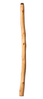 Epoxy Resin Finish Didgeridoo (TM431)